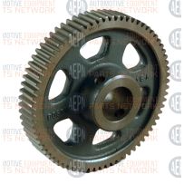 Ratchet Gear | BH-9425-28 | Globe 43652