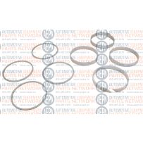 6-1/2" Seal and Bearing Kit | BH-9786-19K | Rotary T140147KIT