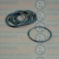 O-Ring Packing (10 pack) 339513 | BL-2004-049 | Alemite 172190-37 X171003-10