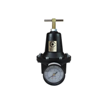 Coilhose Pneumatics 8803G Heavy Duty Series Regulator, 3/8-Inch Pipe Size with Gauge