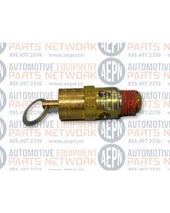 Safety Valve 200 PSI 8104968