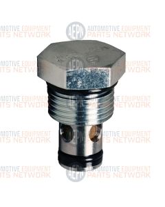 Check Valve Cartridge | BH-7006-17 | Fenner 2507-AA