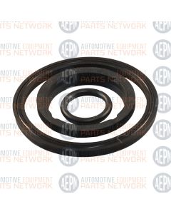 Seal Kit for AFO9 | BH-7250-40 | Globe/FordSmith FS-013225 