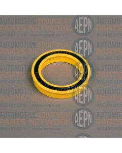 Packing | BL-1112-843 | Graco 112843 112-843